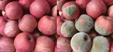 Imagen De Fruta En Buen Y Mal Estado Editada Con Ia