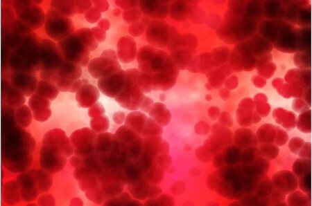 La impresión 3D de plasma sanguíneo puede acelerar la cicatrización de heridas
