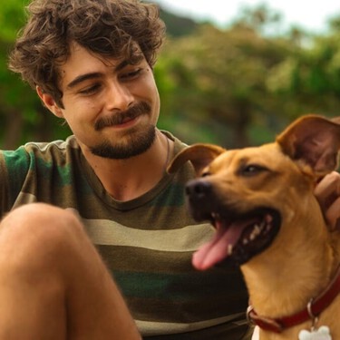 La película brasileña que ha arrasado en Netflix: cómo un perrito callejero puede salvarte la vida