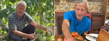Charles Dowding, horticultor, aclara por qué hay que cosechar los tomates aún verdes: “maduran muy bien fuera de la planta”