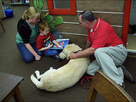 'Un amigo en casa': terapia asistida con perros para niños con discapacidad