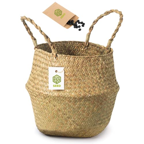 SEED Cesta de Mimbre para Plantas