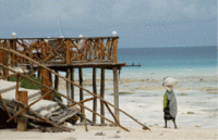 La llamada de África: Zanzibar, la isla de las especias