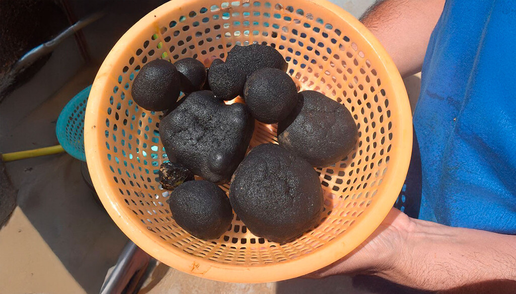 Japón cree tener el mayor depósito de tierras raras de mundo escondido en una isla diminuta. Y ya tiene fecha para extraerlas 