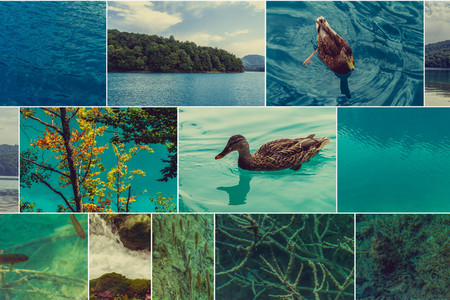 ¿Qué podemos aprender del grito de ayuda de Flickr?