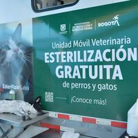 Bogotá cuenta con jornadas de esterilización gratuita de mascotas: esto es lo que debes saber 