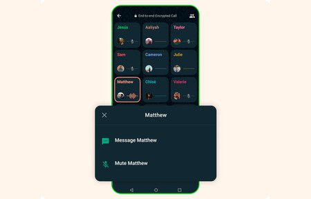Whatsapp Silenciado Contacto Llamadas