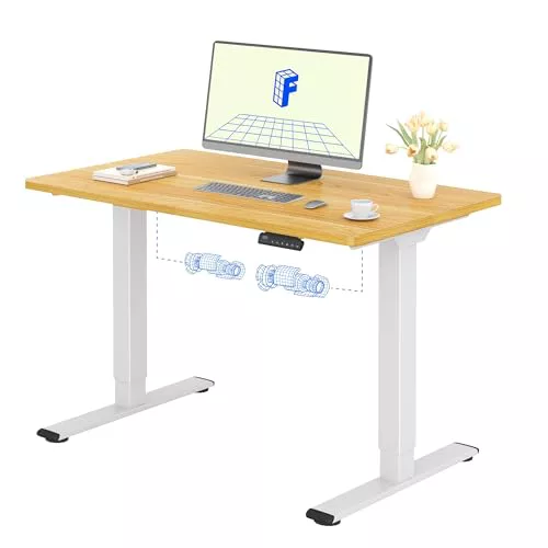 FLEXISPOT Escritorio de Elevable Eléctrico con Tablero Entero(Arce,120X80cm) Standing Desk, Mesa Escritorio Elevable 71-121cm con 4 Opciones de Memoria Inteligente para Oficina y Hogar
