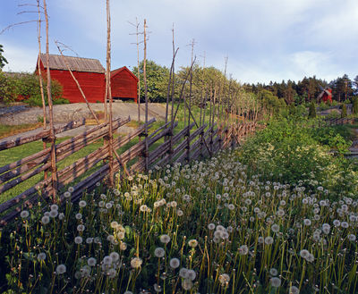 Islas Aland