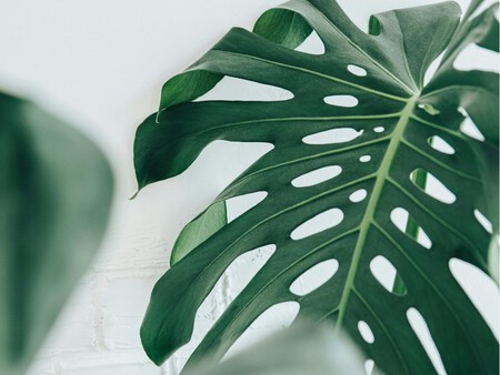 Copia De Plantilla 1200x900 63