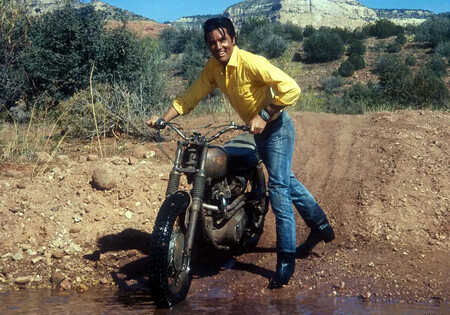Triumph Elvis 1 2023