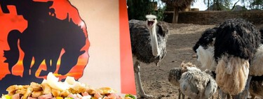 Avestruces en la carretera: el restaurante '3B' que es la parada obligada en la México-Querétaro