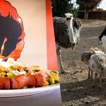 Este restaurante en la carretera México-Querétaro es una parada obligada: comida 3B y un sorprendente campo con avestruces