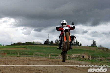 Caballito Freeride Albi