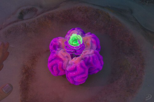 Cómo conseguir Bolsas de Raión Acídico y en Subnautica 2 