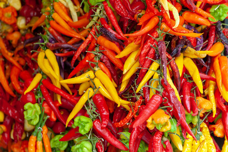 Chile, pimientos, cayena: ¿pueden este tipo de alimentos ayudar a la pérdida de grasa corporal?