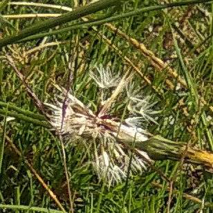 Ampliacion 100x100 Mimax