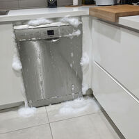 El lavavajillas soltaba agua, espuma y casi me inunda la cocina: fue culpa mía por no quitar esta tapadera