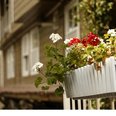 Primavera en pocos metros: seis plantas que sacan partido a cualquier terraza pequeña