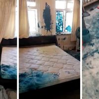 Niños pequeños y un bote de pintura, una combinación con resultados desastrosos 