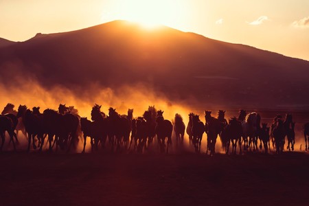 El miedo de la originalidad y cómo ejercitar nuestra mirada para lograrla