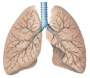 Se crea en Catalunya el Laboratorio Internacional en Epidemiología Respiratoria (ILRE)