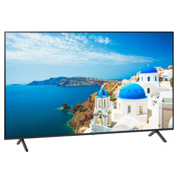 Panasonic - TV MiniLED 164 cm (65'') Panasonic TX-65MX950E