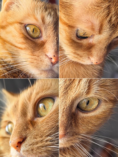 Telefoto 3 Huawei Mate X7