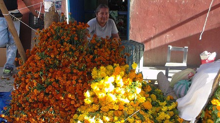 Xochimilco o Jamaica: dónde encuentras las flores de cempasúchil más baratas