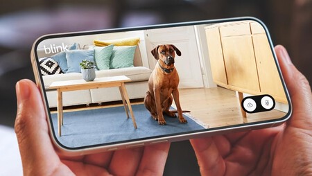 Blink Camara Nueva Oferta Rebaja Barata