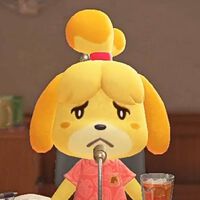 Después de cumplir los sueños de todos en Animal Crossing, el juego dejó a este fan sin nadie con quien compartirlos