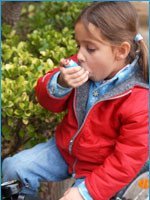 Más de 10.000 niños sufren los problemas de los alérgenos