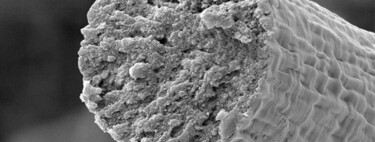 Músculos más duros que el Kevlar: crean a partir de microbios fibra muscular ultrarresistente y biocompatible 