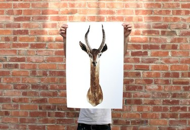 ¿Te gustan las cabezas de animal para decorar? Mejor que sean pintadas