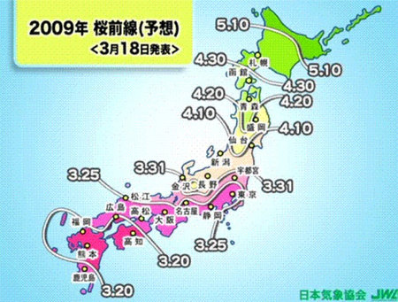 Japón: mapa de los cerezos en flor