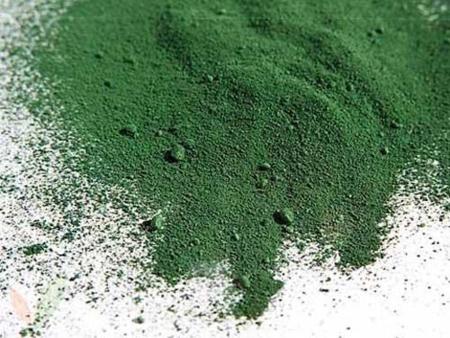 Resultado a la adivinanza: la espirulina es el vegetal que más proteínas contiene