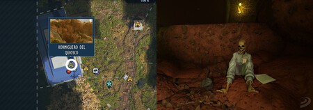 Hormiguero Del Quiosco Grounded