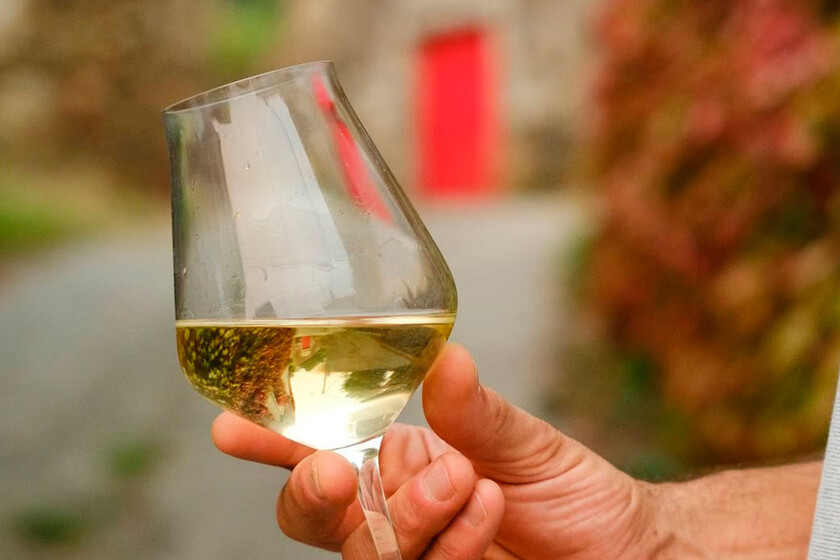Hace 50 años, el albariño no se embotellaba. Ahora, etiquetas como esta rinden homenaje al padre de este vino