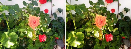 Lg K40 Flores
