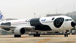 panda plane.jpg