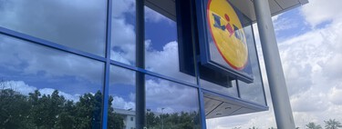 Llega a Lidl, el 31 de julio, la biotrituradora barata y fácil de usar para decir adiós a las ramas y restos de poda 