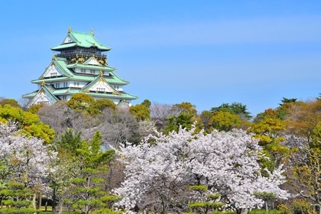 castillodeosaka