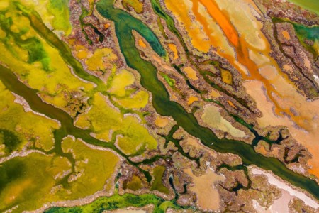 Tres españoles entre los ganadores del Wildlife Photograper Of The Year 2015