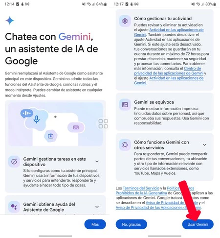 Gemini Assistant