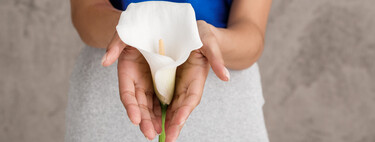 Qué es la reserva ovárica, cómo se mide y qué indica sobre tu fertilidad 