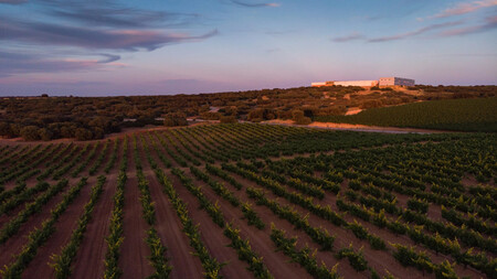 La Bodega Finca Antigua Y Parte De Sus Vinedos