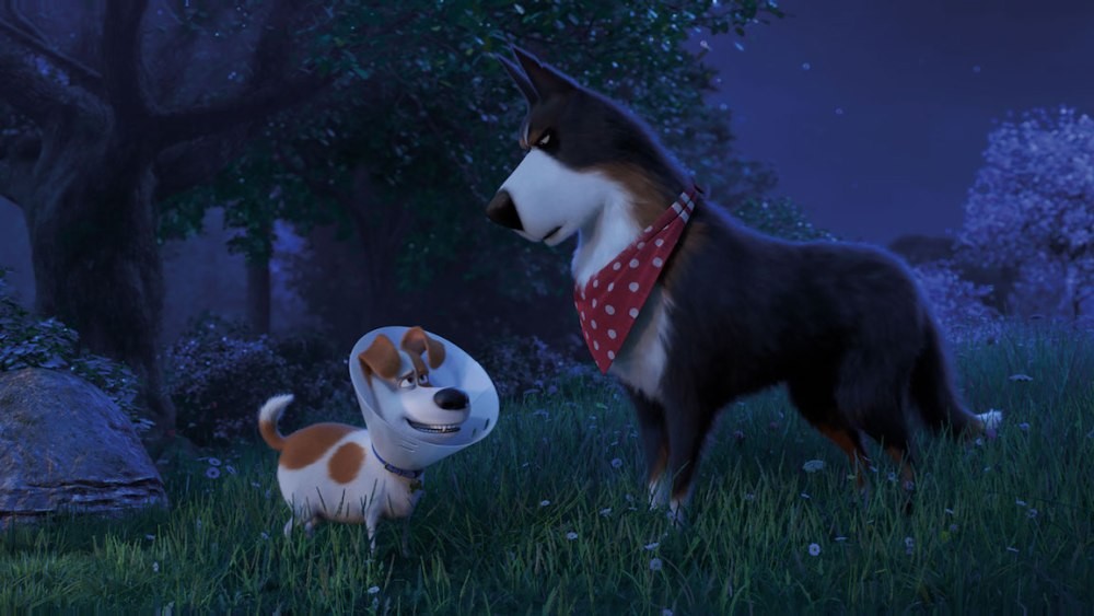 Mascotas 2 (2019) crítica: no arriesga, mantiene lo que funcionó en la ...
