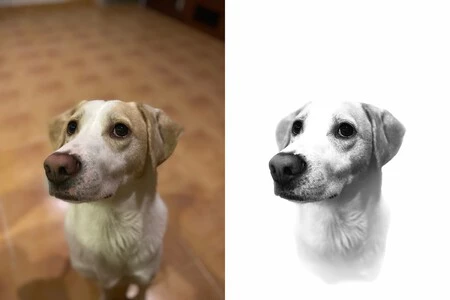 iPhone 11 Pro: 超広角カメラ 26mm、12 メガピクセル、f/1.8、ISO 640、1/25s