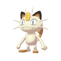 Meowth