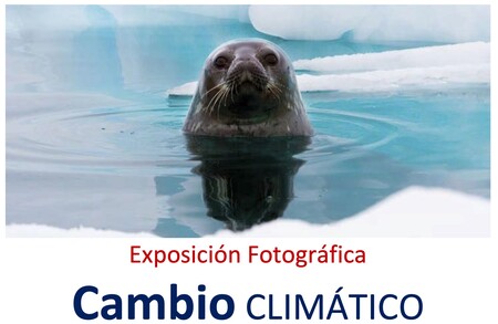 "Cambio climático", una exposición de fotografía al aire libre en el parque del Retiro